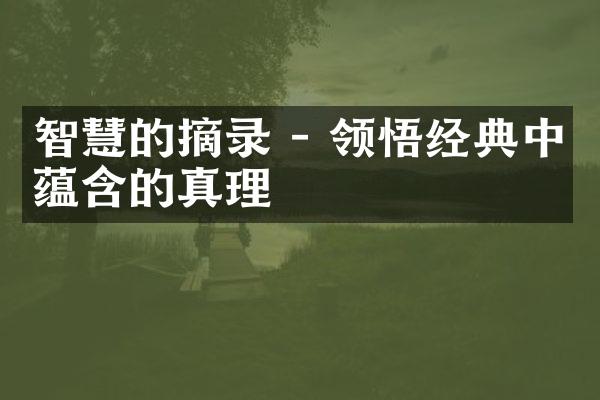 智慧的摘录 - 领悟经典中蕴含的真理