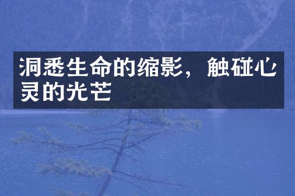 洞悉生命的缩影,触碰心灵的光芒