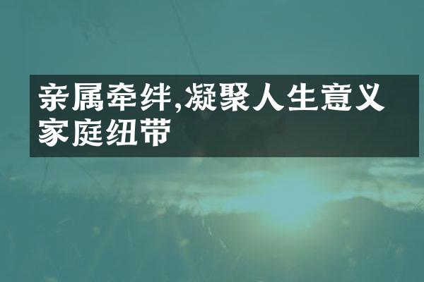 亲属牵绊,凝聚人生意义的家庭纽带