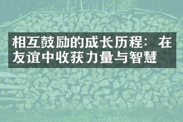 相互鼓励的成长：在友谊中收获力量与智慧
