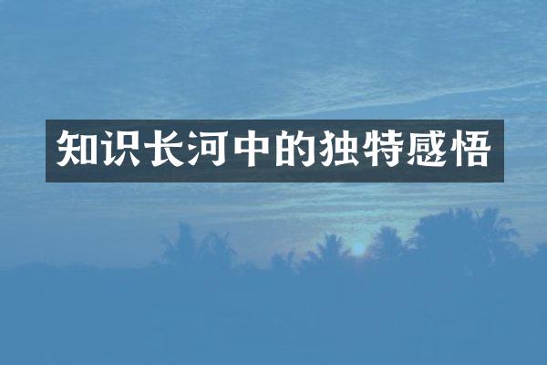 知识长河中的独特感悟