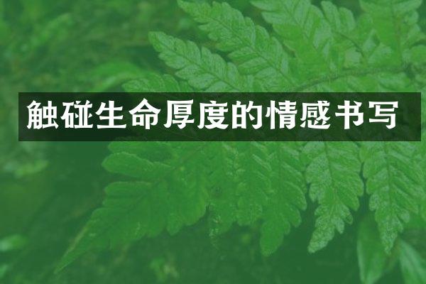 触碰生命厚度的情感书写