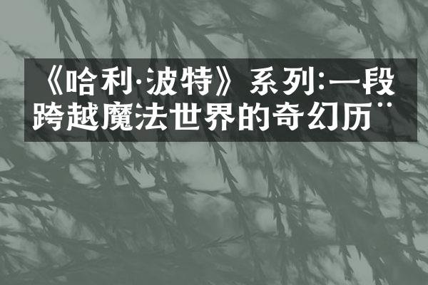 《哈利·波特》系列:一段跨越魔法世界的奇幻