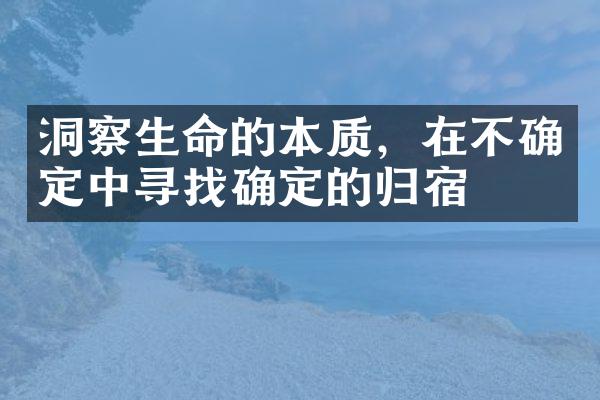洞察生命的本质,在不确定中寻找确定的归宿