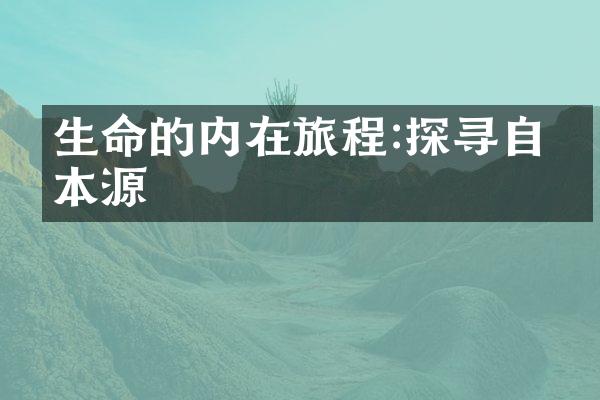 生命的内在旅程:探寻自我本源