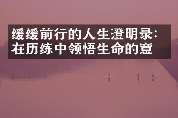 缓缓前行的人生澄明录:在历练中领悟生命的意义