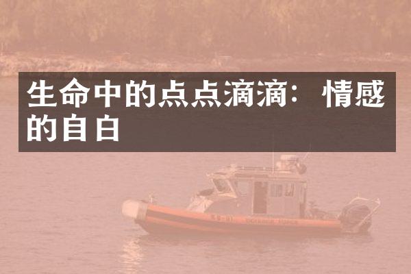 生命中的点点滴滴:情感的自白