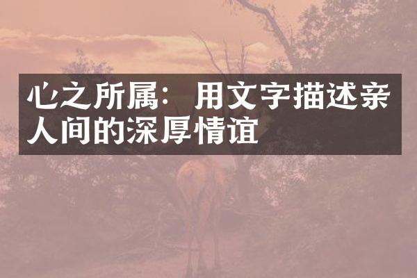 心之所属:用文字描述亲人间的深厚情谊