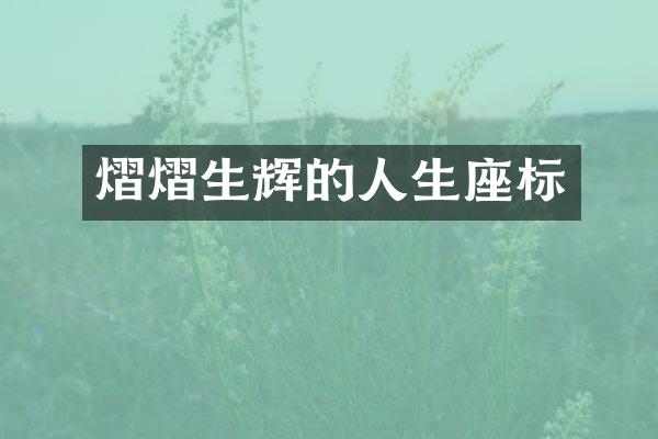 熠熠生辉的人生座标
