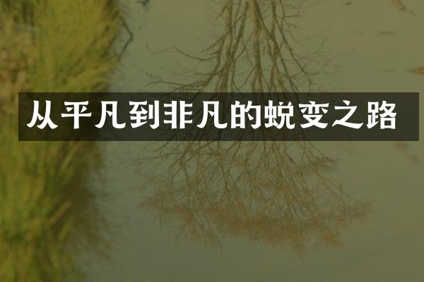 从平凡到非凡的蜕变之路