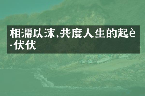 相濡以沫,共度人生的起起伏伏