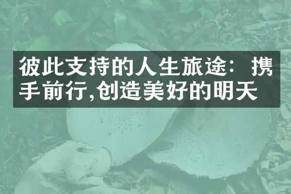 彼此支持的人生旅途:携手前行,创造美好的明天