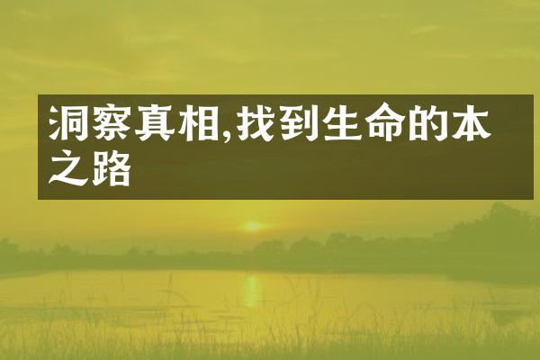 洞察真相,找到生命的本真之路