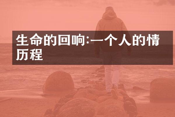 生命的回响:一个人的情感