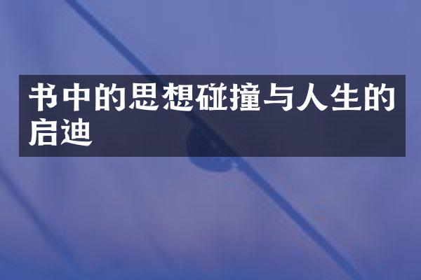 书中的思想碰撞与人生的启迪