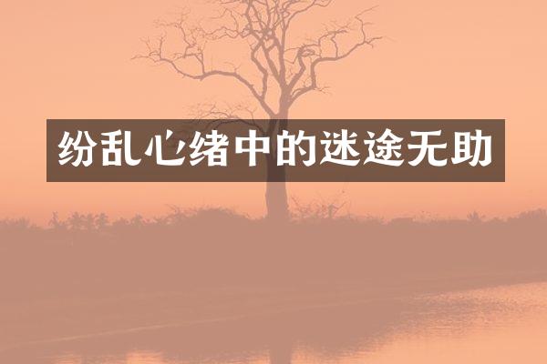 纷乱心绪中的迷途无助