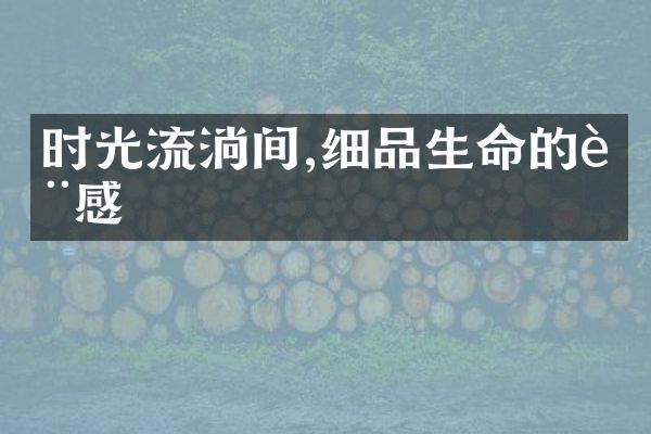 时光流淌间,细品生命的质感