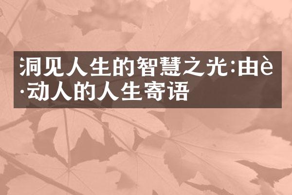 洞见人生的智慧之光:由衷动人的人生寄语