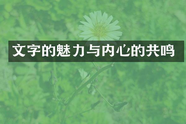 文字的魅力与内心的共鸣