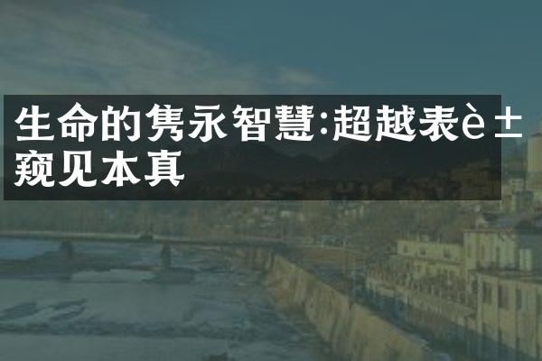 生命的隽永智慧:超越表象窥见本真