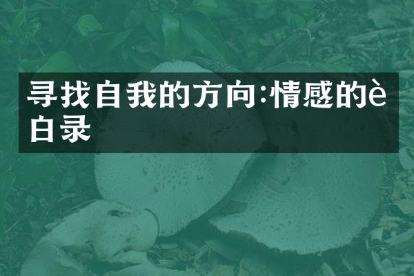 寻找自我的方向:情感的自白录