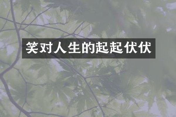 笑对人生的起起伏伏