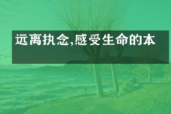 远离执念,感受生命的本真