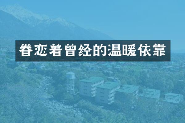 眷恋着曾经的温暖依靠