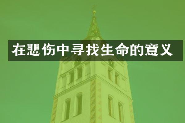 在悲伤中寻找生命的意义