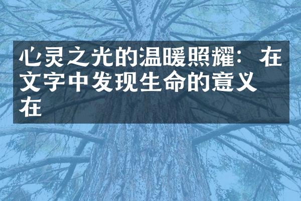 心灵之光的温暖照耀：在文字中发现生命的意义所在