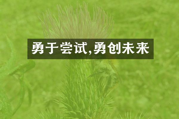 勇于尝试,勇创未来