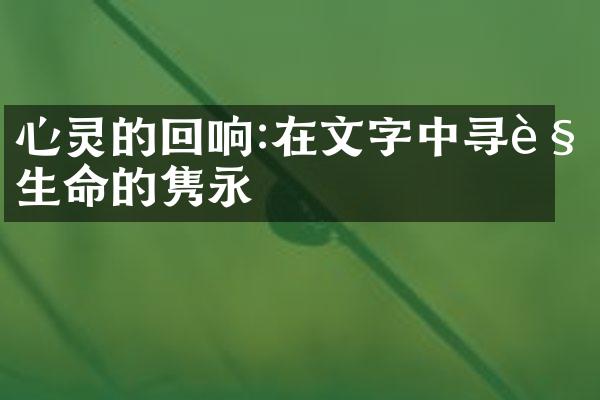 心灵的回响:在文字中寻觅生命的隽永