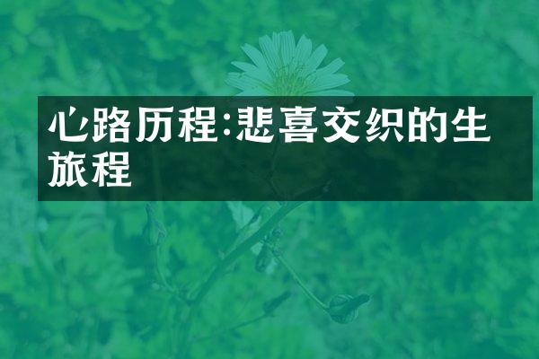 心路:悲喜交织的生命旅程