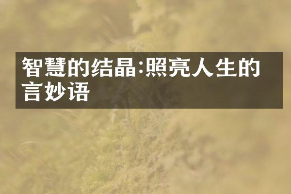 智慧的结晶:照亮人生的格言妙语