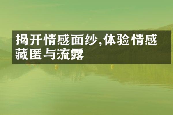 揭开情感面纱,体验情感的藏匿与流露