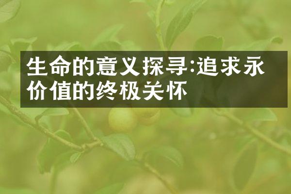 生命的意义探寻:追求永恒价值的终极关怀