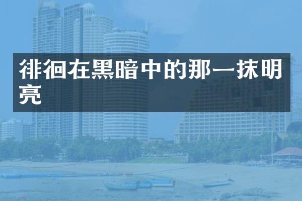 徘徊在黑暗中的那一抹明亮