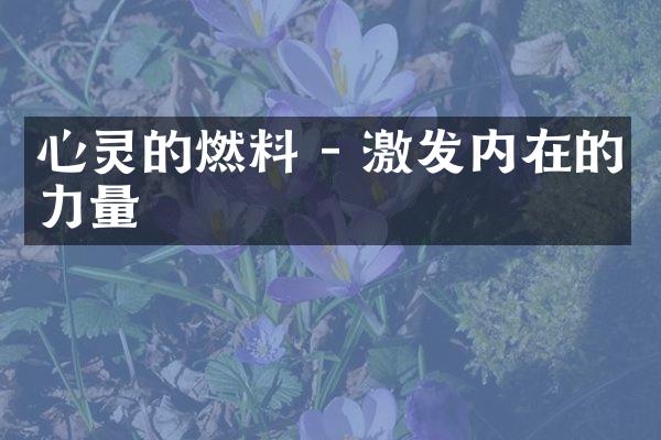 心灵的燃料 - 激发内在的力量