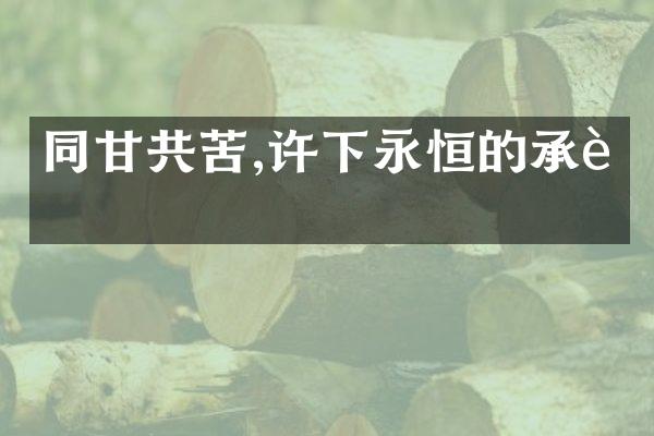 同甘共苦,许下永恒的承诺