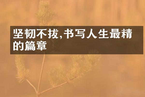 坚韧不拔,书写人生最精彩的篇章