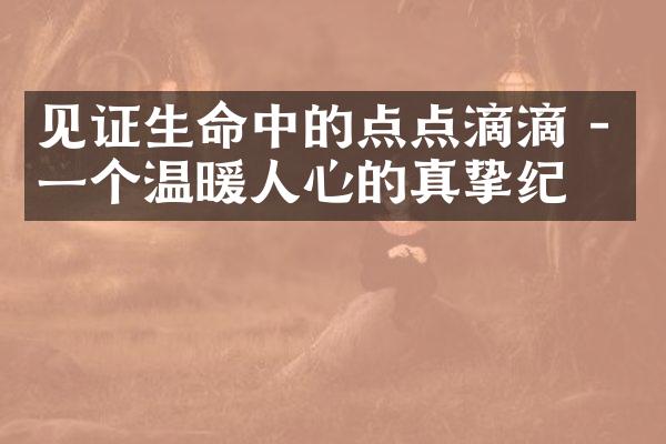 见证生命中的点点滴滴 - 一个温暖人心的真挚纪录
