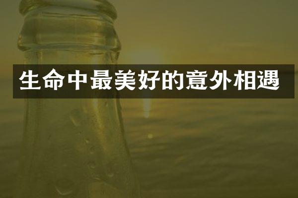 生命中最美好的意外相遇