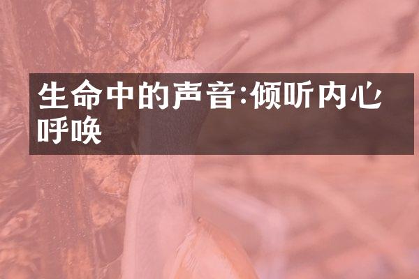 生命中的声音:倾听内心的呼唤