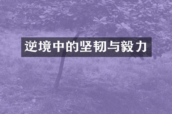 逆境中的坚韧与毅力