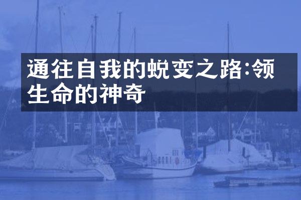 通往自我的蜕变之路:领悟生命的神奇