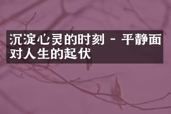 沉淀心灵的时刻 - 平静面对人生的起伏