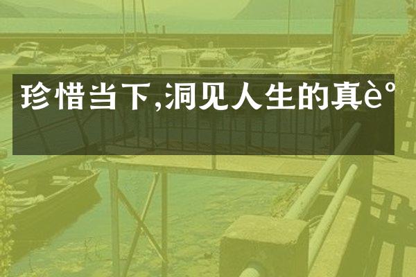 珍惜当下,洞见人生的真谛