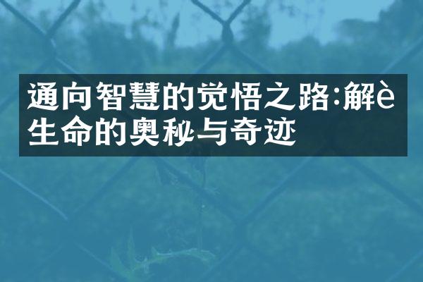 通向智慧的觉悟之路:解读生命的奥秘与奇迹