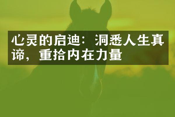 心灵的启迪：洞悉人生真谛，重拾内在力量