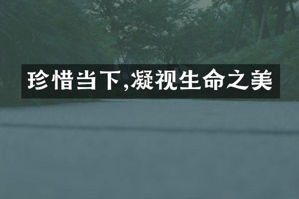 珍惜当下,凝视生命之美